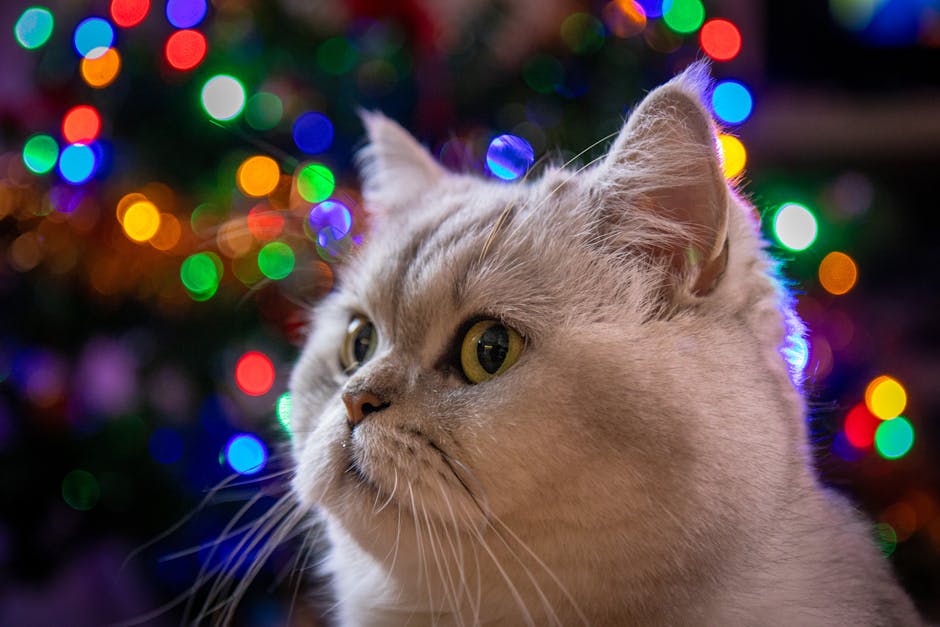 如何快速判斷你的五行缺失？