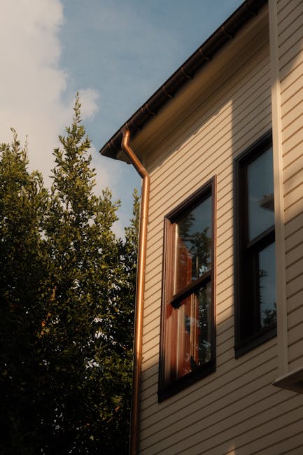 獨家風水布局：補齊五行，好運自然來