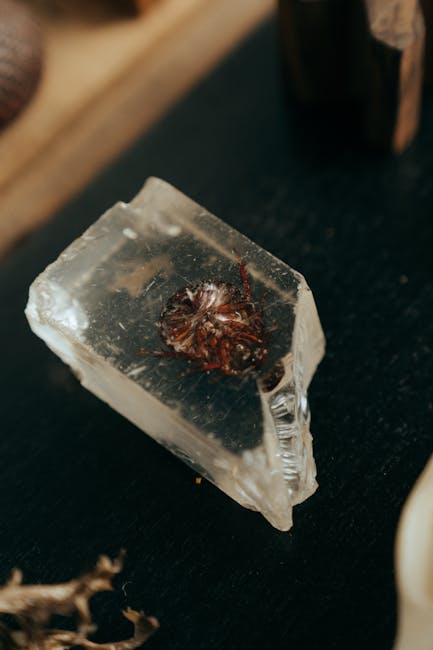 使用過程和真實感受