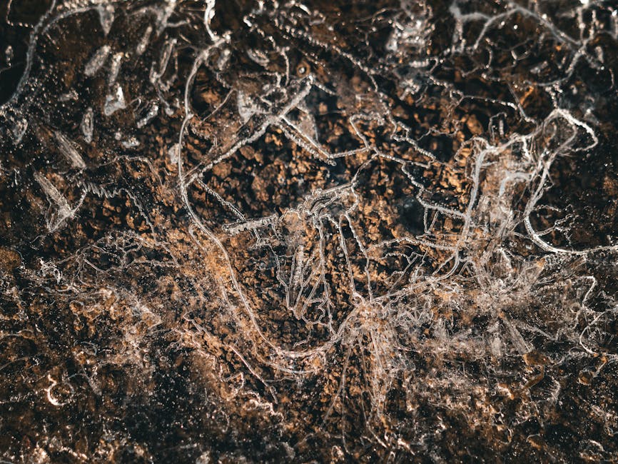 三、讓水晶成為你生命中的情感寄託