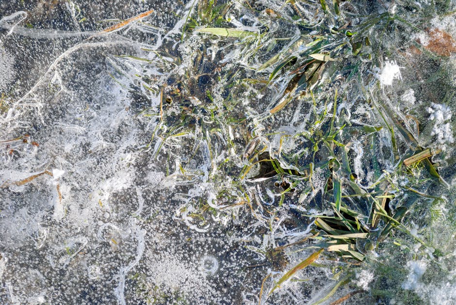 當火與金元素不足時，我們的心靈會悄悄告訴我們